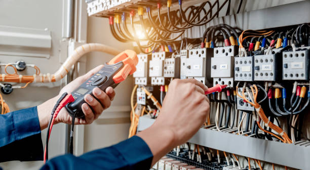 Best Home Electrical Repair  in Ravenel, SC