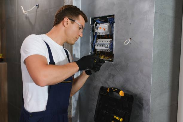 Best Ceiling Fan Installation Electrician  in Ravenel, SC