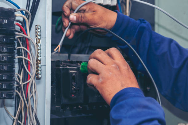Best Electric Panel Repair  in Ravenel, SC